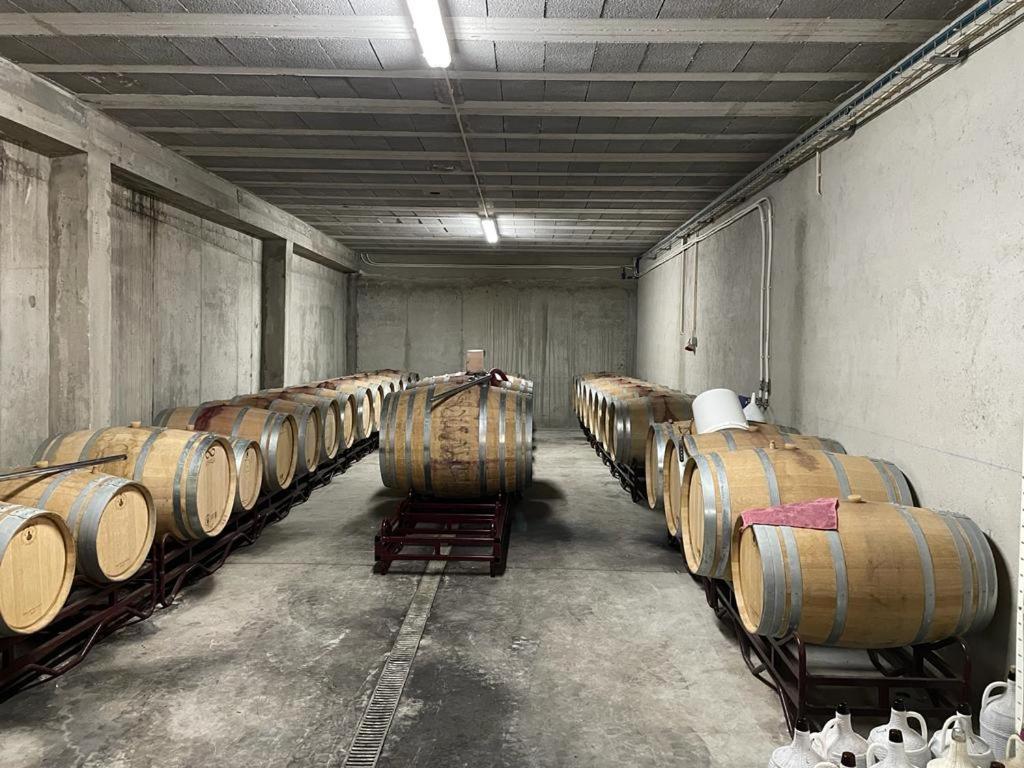 Quinta Da Penada - Vineyard & Winery - Suite 3 ชาเวส ภายนอก รูปภาพ