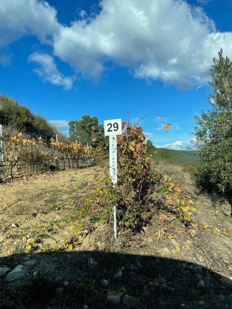 Quinta Da Penada - Vineyard & Winery - Suite 3 ชาเวส ภายนอก รูปภาพ