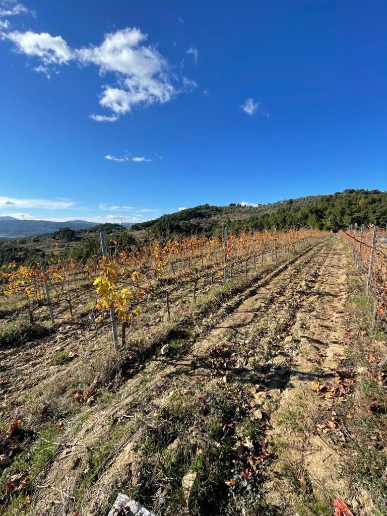 Quinta Da Penada - Vineyard & Winery - Suite 3 ชาเวส ภายนอก รูปภาพ